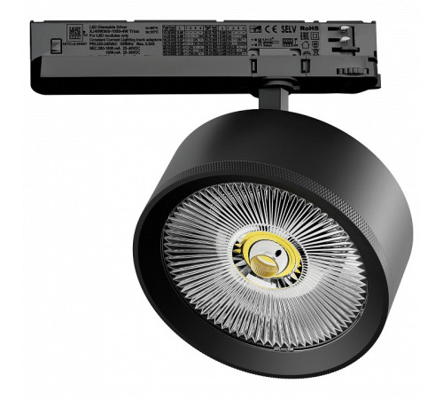 Светильник на штанге Lightstar Alta Pro A5747TRIAC