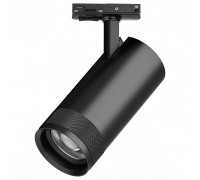Светильник на штанге Lightstar Canno Pro C4307SS