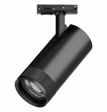 Светильник на штанге Lightstar Canno Pro C4307SS