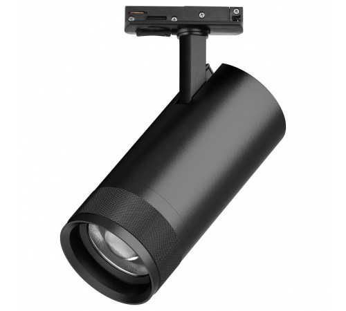 Светильник на штанге Lightstar Canno Pro C4307SS