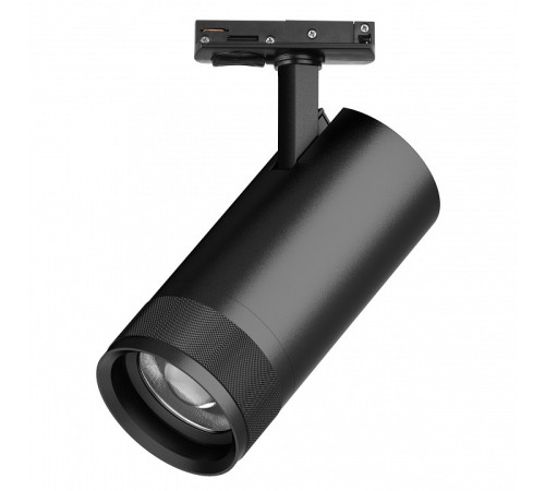 Светильник на штанге Lightstar Canno Pro C4307SS