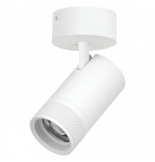 Спот Lightstar Canno Pro C4406SO