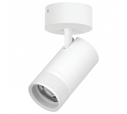 Спот Lightstar Canno Pro C4406SO