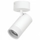 Спот Lightstar Canno Pro C4406SO