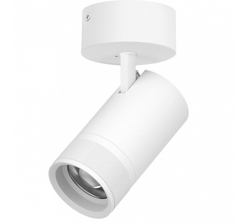 Спот Lightstar Canno Pro C4406SO