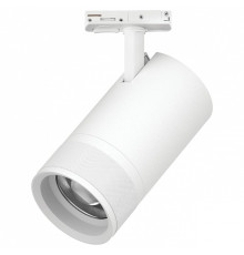 Светильник на штанге Lightstar Canno Pro C4406SS