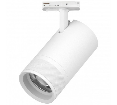 Светильник на штанге Lightstar Canno Pro C4406SS