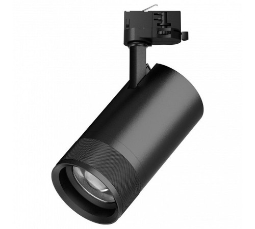 Светильник на штанге Lightstar Canno Pro C4407QT