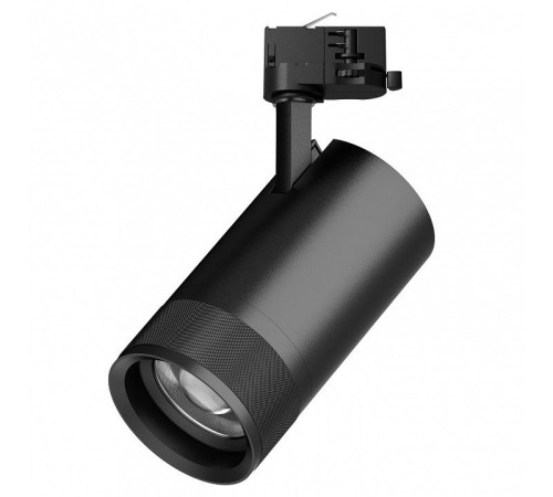 Светильник на штанге Lightstar Canno Pro C4407QT