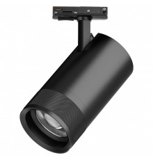 Светильник на штанге Lightstar Canno Pro C4407SS