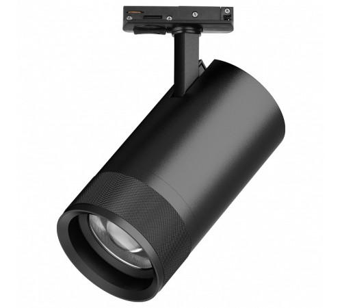Светильник на штанге Lightstar Canno Pro C4407SS