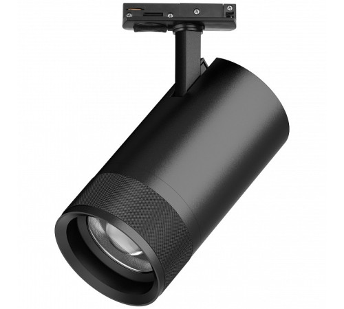 Светильник на штанге Lightstar Canno Pro C4407SS