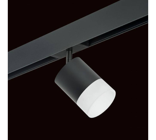 Светильник на штанге Lightstar Rullo PRO348781