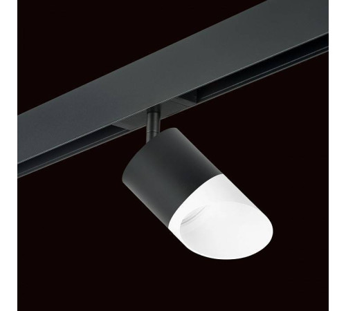 Светильник на штанге Lightstar Rullo PRO348786