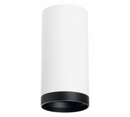 Накладной светильник Lightstar Rullo R64863487