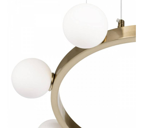 Подвесная люстра Loft it Hoop 10311/14