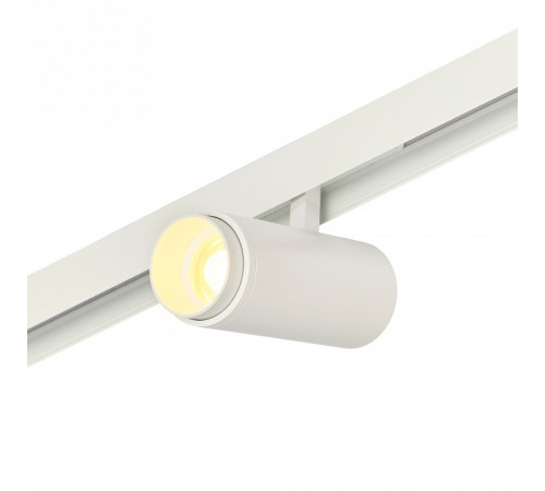 Светильник на штанге MyFar RayZoom MT0222-20W3K-S-W