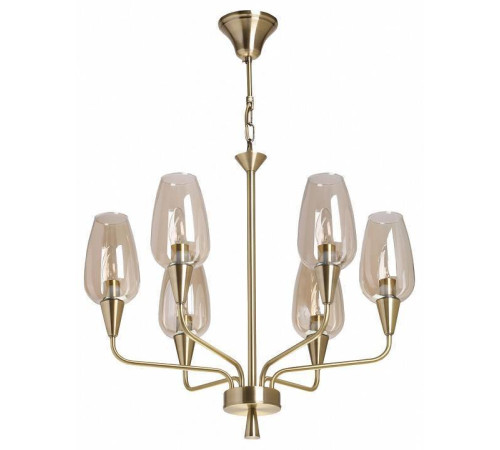 Подвесная люстра MW-Light Элла 20 6x60 Вт E14 483015606