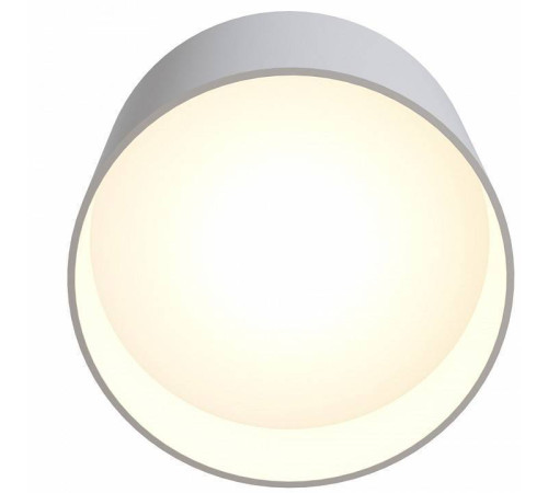 Накладной светильник Maytoni Planet C009CW-L12W