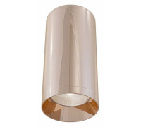 Накладной светильник Maytoni Alfa C010CL-01RG