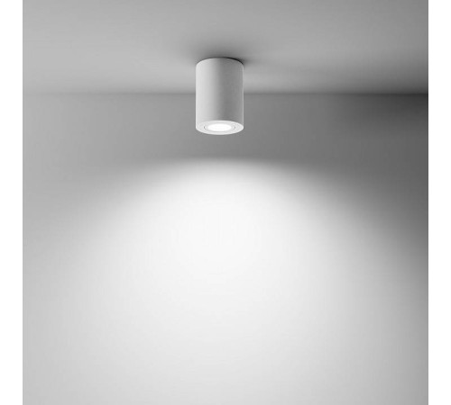 Накладной светильник Maytoni Atom C016CL-01W