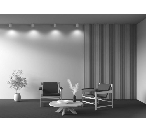 Накладной светильник Maytoni Atom C016CL-01W