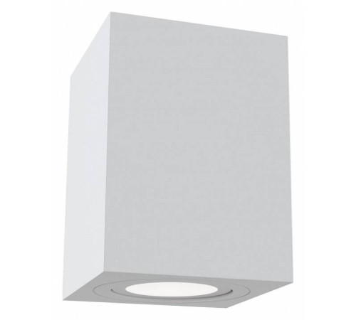 Накладной светильник Maytoni Atom C017CL-01W