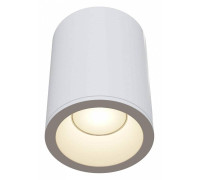 Накладной светильник Maytoni Zoom C029CL-01W