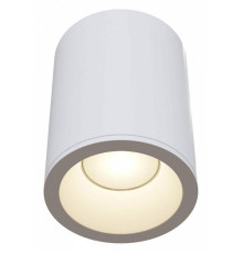 Накладной светильник Maytoni Zoom C029CL-01W