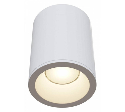 Накладной светильник Maytoni Zoom C029CL-01W