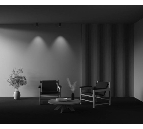 Накладной светильник Maytoni FOCUS LED C056CL-L12W2.7K-W-BS