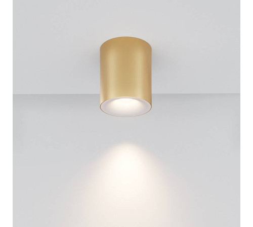 Накладной светильник Maytoni Spark C094-GU10-MG