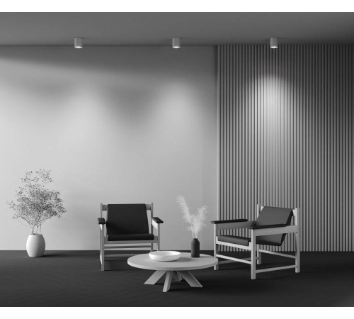 Светильник накладной Maytoni Spark C094-GU10-W