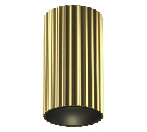 Накладной светильник Maytoni Calipso C106CL-01-GU10-BS