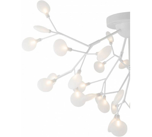 Потолочная люстра Freya Florencia FR5049CL-36W1