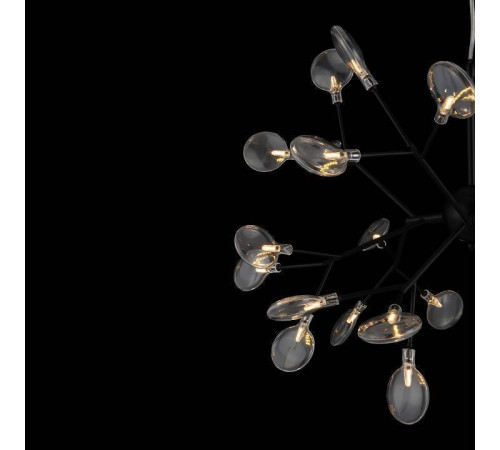 Подвесная люстра Freya Florencia FR5049PL-27B