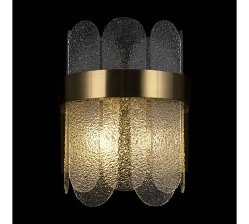 Накладной светильник Freya Deserto FR5141WL-02BS