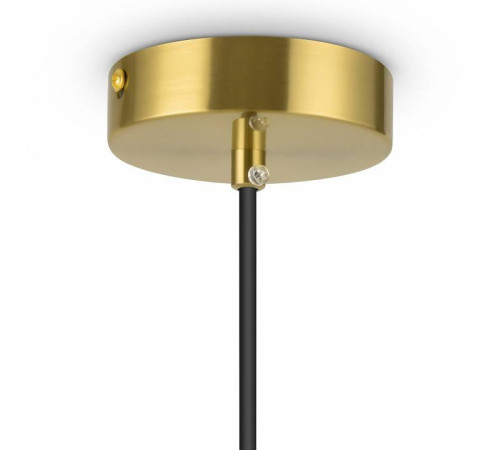 Подвесной светильник Freya Eleon FR5218PL-01BS