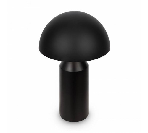 Настольная лампа декоративная Freya Eleon FR5218TL-02B1