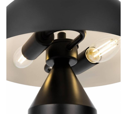 Настольная лампа декоративная Freya Eleon FR5218TL-02B1