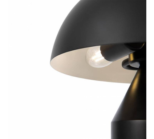 Настольная лампа декоративная Freya Eleon FR5218TL-02B1