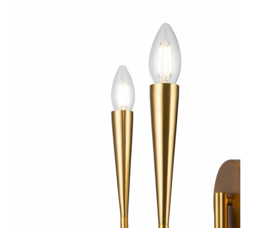 Бра Freya Branches FR5253WL-02BS