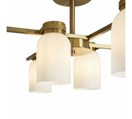 Люстра на штанге Freya Kamelia FR5446PL-06BS