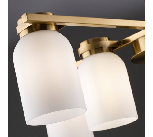 Люстра на штанге Freya Kamelia FR5446PL-06BS