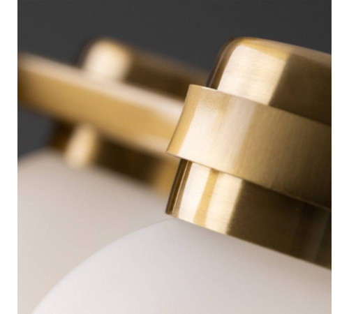 Люстра на штанге Freya Kamelia FR5446PL-06BS