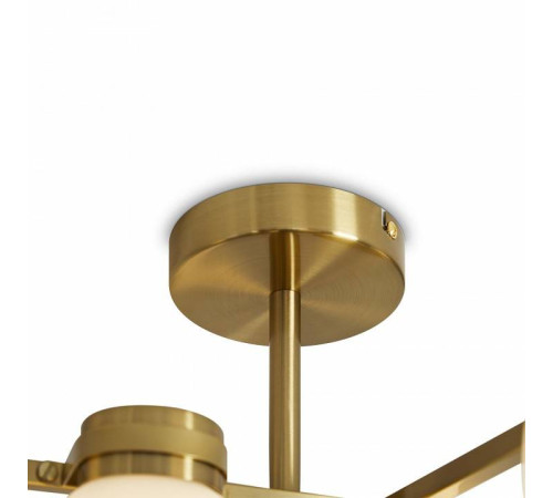 Люстра на штанге Freya Kamelia FR5446PL-06BS