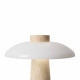 Настольная лампа декоративная Freya Sunspot FR5482TL-L7BG
