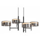 Подвесная люстра Freya Tower FR5536PL-L14B