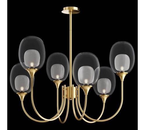 Люстра на штанге Maytoni Aura MOD016PL-06BS