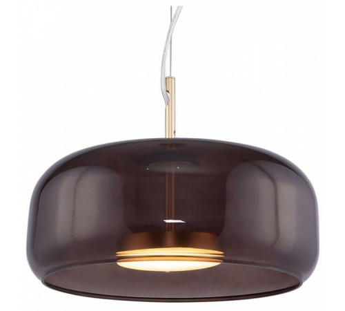 Подвесной светильник Maytoni Madmen 6 Вт MOD127PL-L6BR